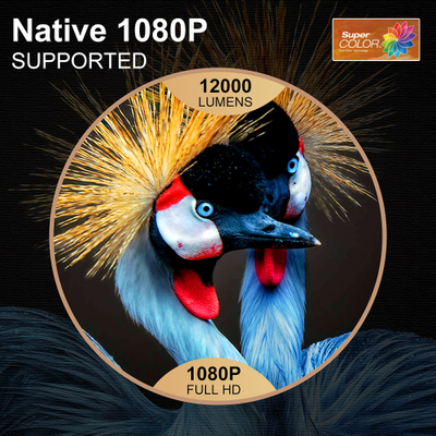 Видеопроектор Thundeal TD98W Full HD со встроенным Android 21000 люменов