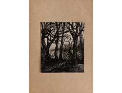 "Лесной пейзаж" бумага тушь 1960-е годы