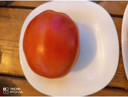 Томат Баклажан