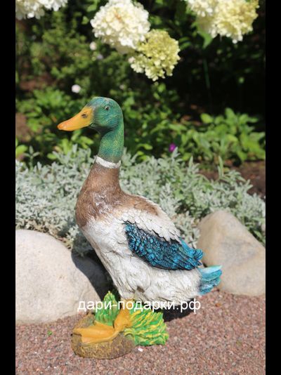 Селезень - красавец 40*28см полистоун Россия 1675/012564*