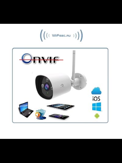 CleverDog, уличная WiFi/LAN видеокамера  с DVR, HD