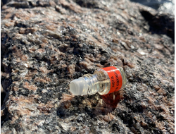 Масло НОТА: УСТА САХАРНЫЕ, 2.5 мл