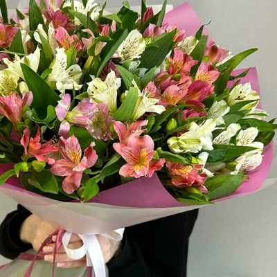 Букет из 25 альстромерий (цвет на выбор)