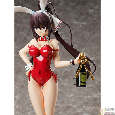 Фигурка 1/4 Хоки Синононо (Houki Shinonono Bare Leg Bunny Ver.)