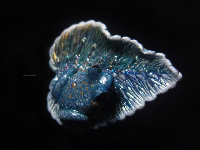 Фэнтези-кольцо с волшебной лягушкой "Пролетая над гнездом чудесниц..."