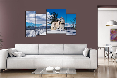 Модульная картина "Снежная лайка"