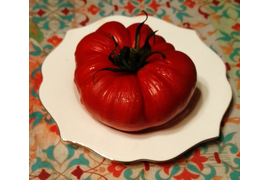 сорт Святой голубь