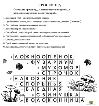 Грибы  (10 шт), комплект кодотранспарантов (фолий, прозрачных пленок)