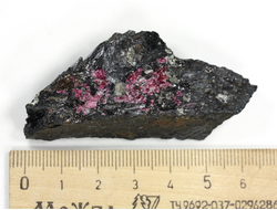 Эгирин черный, Эвдиалит, Кольский п-ов, Хибины (64*26*20 мм, 55 г) №26264