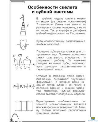 Зоология. Млекопитающие (16 шт), комплект кодотранспарантов (фолий, прозрачных пленок)