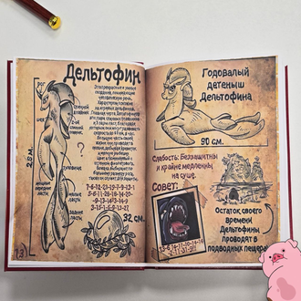 Дневник Диппера, Гравити Фолз №4