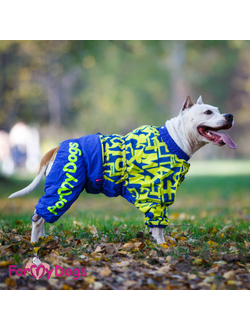 Комбинезон для больших собак Алфавит син/желт