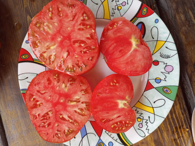 Томат Нанни бао (Nanni Bao), Италия