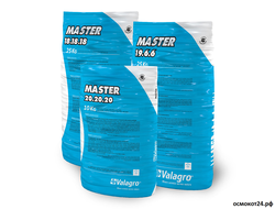 Мастер (Италия)