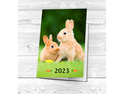 Обложка на паспорт год Кролика №15