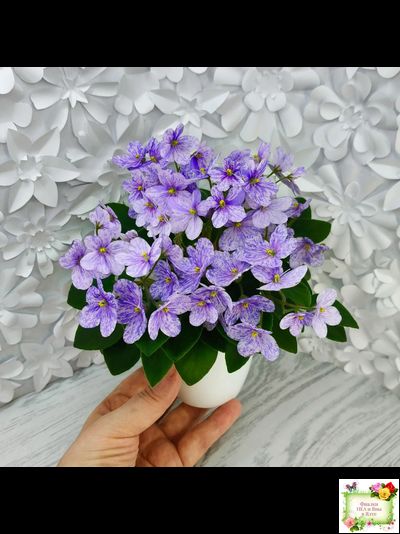 ГЕА-Весёлый Клоун (Е. Галицкая) 2024 г. трейлер