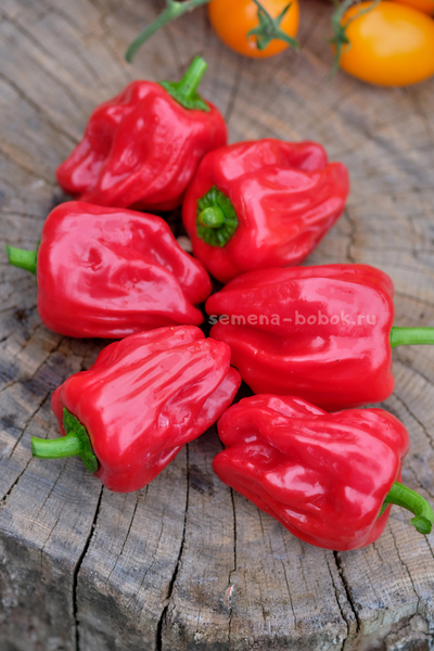 Перец сладкий Griolla De Cocina (Креольская Кухня), 10 шт