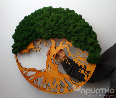 Живая Эко-Картина 1071