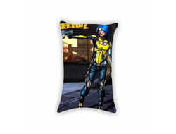 Подушки Borderlands, Бордерленд №30