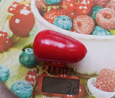 Перец острый  Black Maroccan Jalapeno