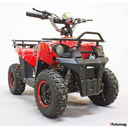 Квадроцикл GreenCamel Gobi K40 (12Ah 36V 800W R6 Цепной привод) быстросъем, Красный паук