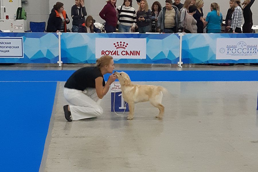 Линора Бест Танси Роуз