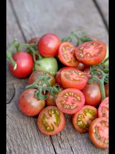 Томат Гном Противоречия (Controversy), 10 шт