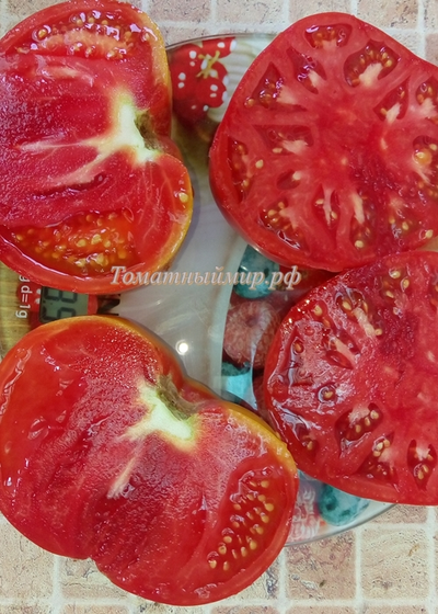 Томат Дикая роза