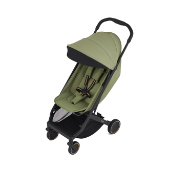 Коляска 3в1 Anex Air-X2 Vert 2025