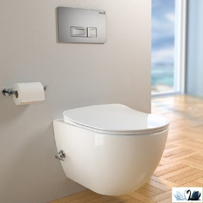 Панель смыва инсталляции для унитаза CREAVIT ORE GP3003.00 в интерьере лофт с унитазом-биде Free