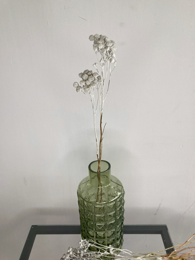 Пижма серая