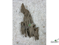 Коряга Мангровая Дракон XXS (10-20см)