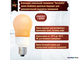 Philips Terracotta A65 12w 827 E27