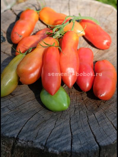 Томат Стрелка, 10 шт