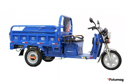 Грузовой электротрицикл TaiLG TL1000