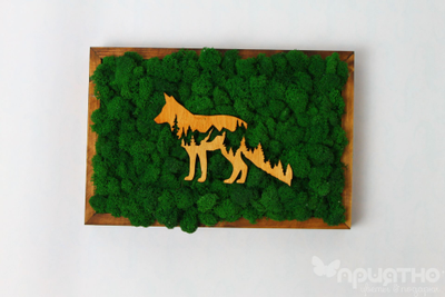 ЖИВАЯ ЭКО-КАРТИНА 1027