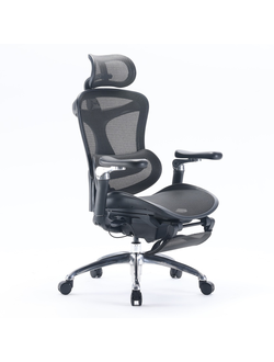 Ортопедические кресла SIHOO Doro C300 Pro