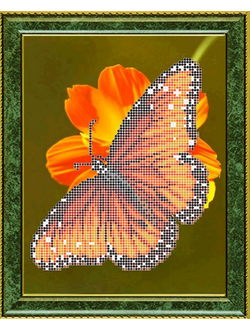 Данаида Монарх, К4148