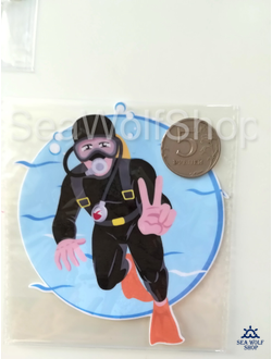 Наклейка сувенир оракал Дайвер №53