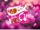 Драже Jelly Belly ассорти Barbie