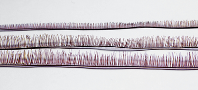 Ресничная лента , коричневый , 8 мм