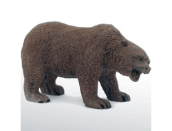 Медведь бурый 1.ОПТ