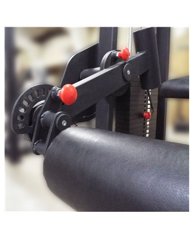 Сгибание ног лежа 100 кг AV214/80