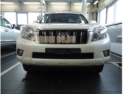 Защита радиатора Toyota LC Prado 150 2009-2014 black