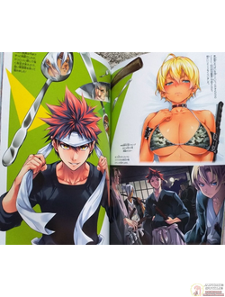Оригинальный Арт Бук  Shokugeki no Soma - Last Fan Book (Повар-боец Сома)