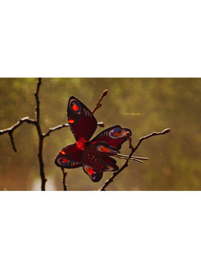 Летняя заколка из шёлка "Бабочка Летучая Искра"