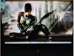 ARDOR GAMING RAGE R16-R7ND403 ( 16.0 WQXGA  IPS 165Hz Ryzen 7 7745HX RTX4060 (8Gb) 16Gb 1024Gb SSD )