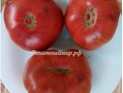 Томат Черный как уголь (Noire Charbonneuse, Канада)