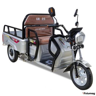 Грузовой электротрицикл ASL Вояж 1100 60V 31Ah