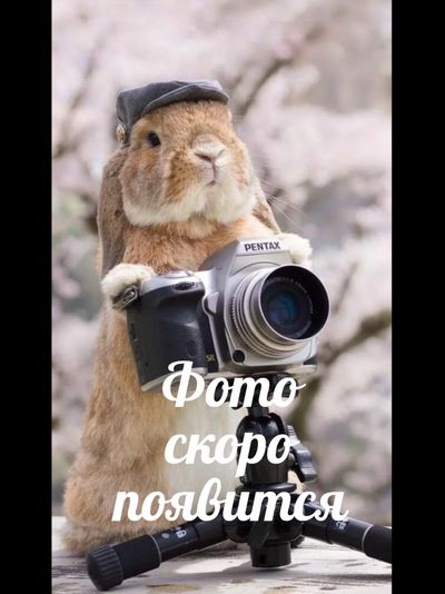 ЧИЗКЕЙК АПЕЛЬСИНОВЫЙ